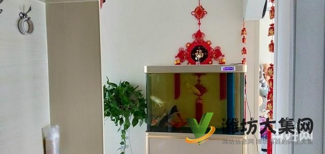 搶房了 正陽花園 精裝修 三室 134平送儲(chǔ)藏室
