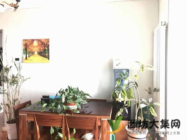 通亭街 瑞都廣場(chǎng) 高層 精裝3室 客廳帶落地窗 全明戶型